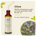 Original Bachblüten Olive 20ml