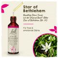 Original Bachblüten Star of Bethlehem 20ml