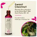Original Bachblüten Sweet Chestnut 20ml