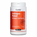 COLLAGEN PULVER Kollagen Hydrolysat Peptide Rind