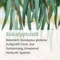 EUKALYPTUS ÖL naturrein ätherisch