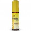 Bach RESCURA® Spray mit Alkohol, 20ml 