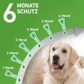 FRONTLINE COMBO gegen Zecken, Flöhe (Flöhe, Eier, Larven, Puppen) für Hunde S