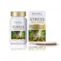 STRESS BALANCE Dr.Koll Vitamin B6+B12+Magnesium