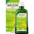 Weleda Deo Spray Citrus Fresh - Ohne Aluminiumsalze