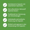 QUERCETIN KAPSELN 500 mg hochdosiert